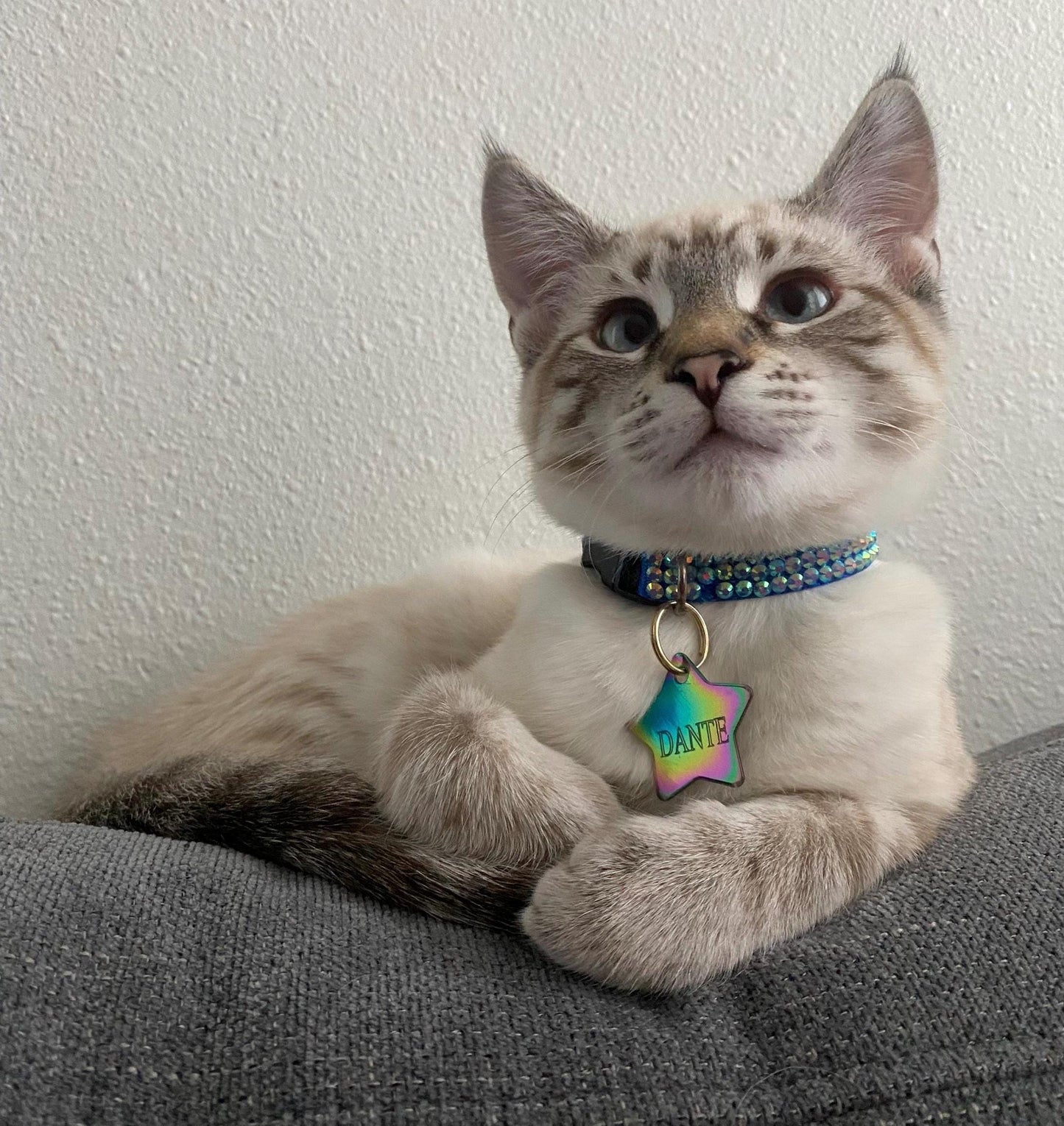 Blue Diamond Bliss: Handmade Blue Rhinestone Cat Collar – Elegant Sparkly Cat Collar with Breakaway Buckle for Safety